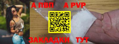стаф Шелехов