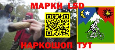 стаф Шелехов