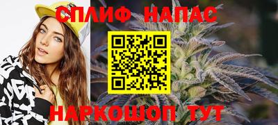 стаф Шелехов