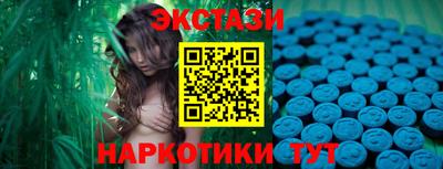 стаф Шелехов