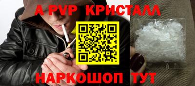 стаф Шелехов
