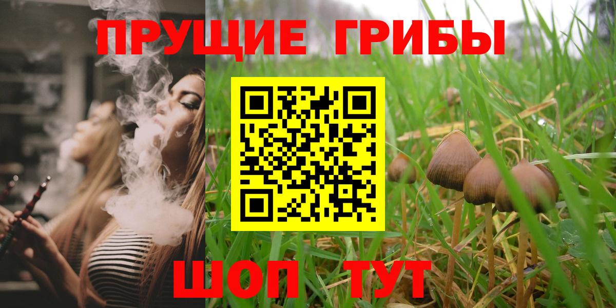 Галлюциногенные грибы Psilocybine cubensis Усолье-Сибирское